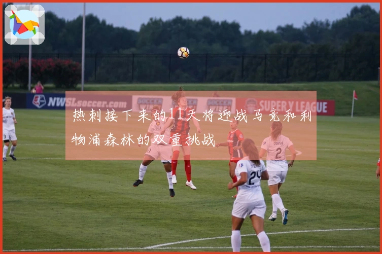热刺接下来的11天将迎战马竞和利物浦森林的双重挑战