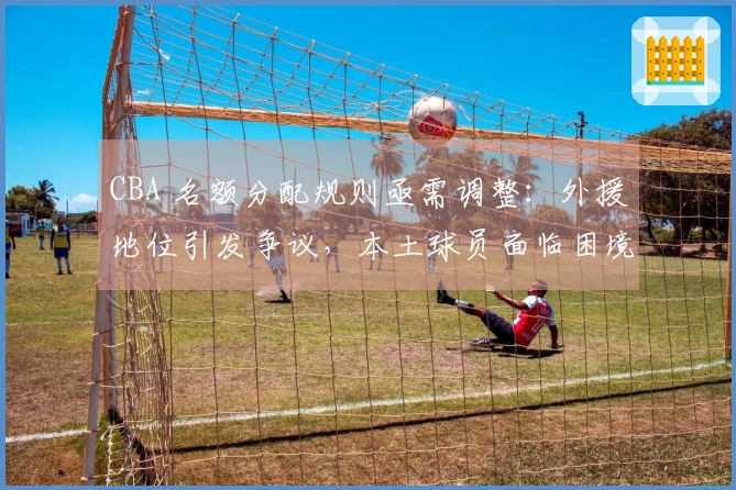 CBA 名额分配规则亟需调整：外援地位引发争议，本土球员面临困境